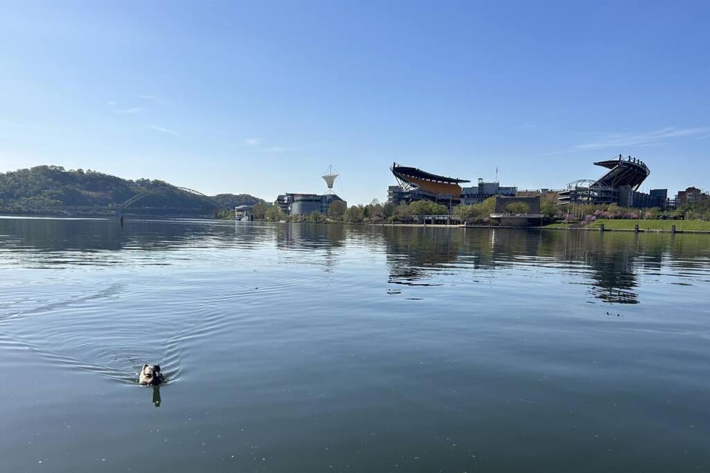 Sprawling Stadium Views Wonderful Location 24-7 Parking Gym Lounge Pittsburgh Luaran gambar